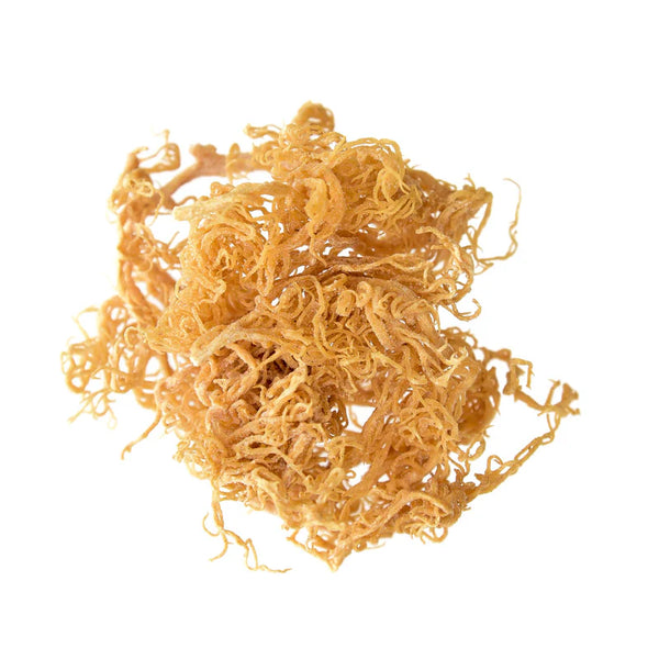 Dry Sea Moss