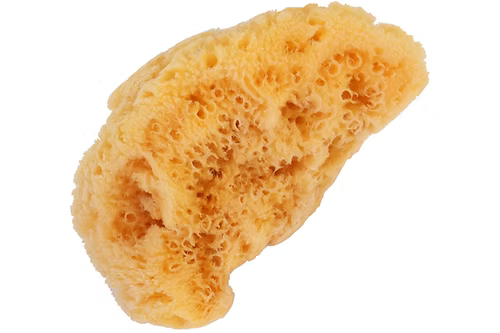 BASS Natural Sea Sponge