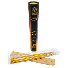 Earth Elements Wellness soul (  Golden Nag Champs ) 30 Incense Sticks w/ Holder