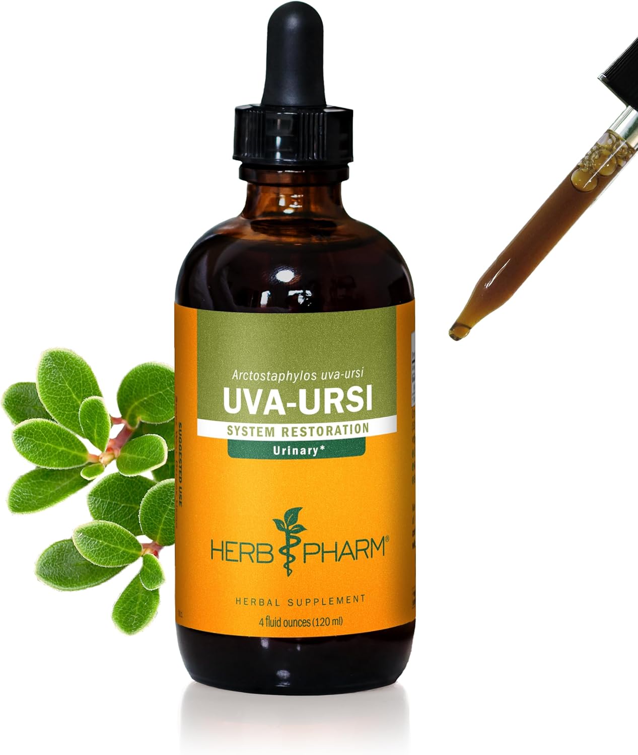 Herb Pharm Uva-Ursi Liquid Extract (urinary system restoration)