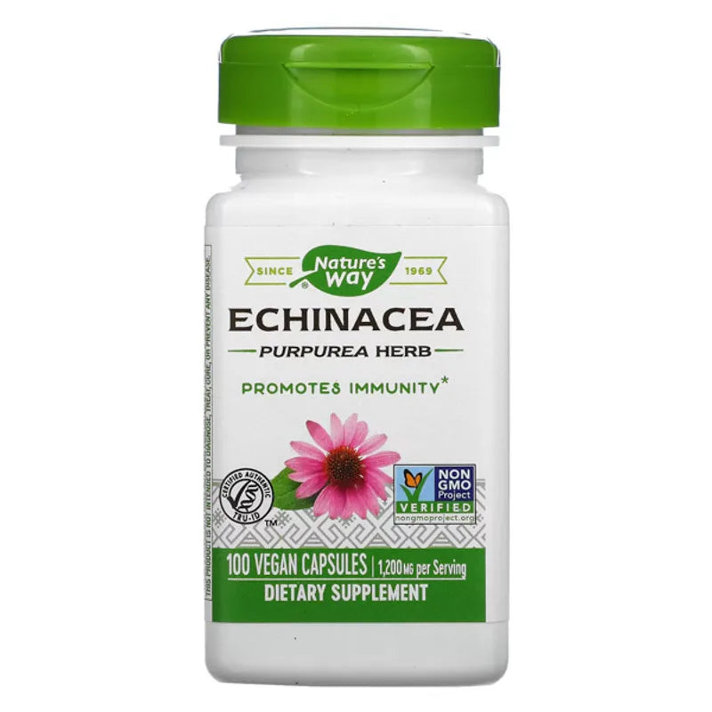 Echinacea