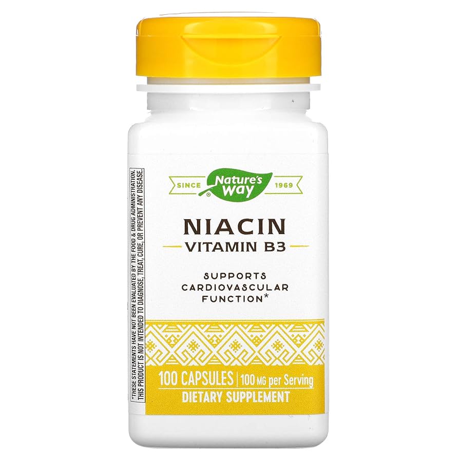 Nature's Way Niacin 100 mg