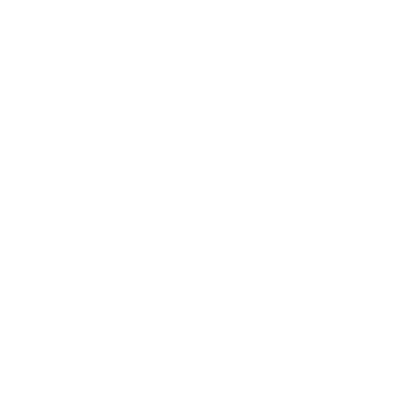 Premium Quality icon