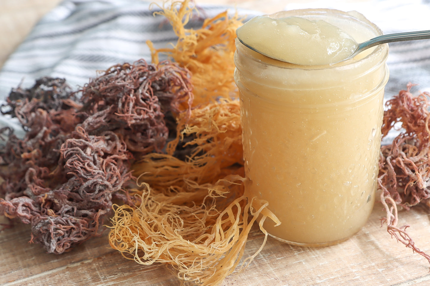 Smoothie Add On- Sea moss