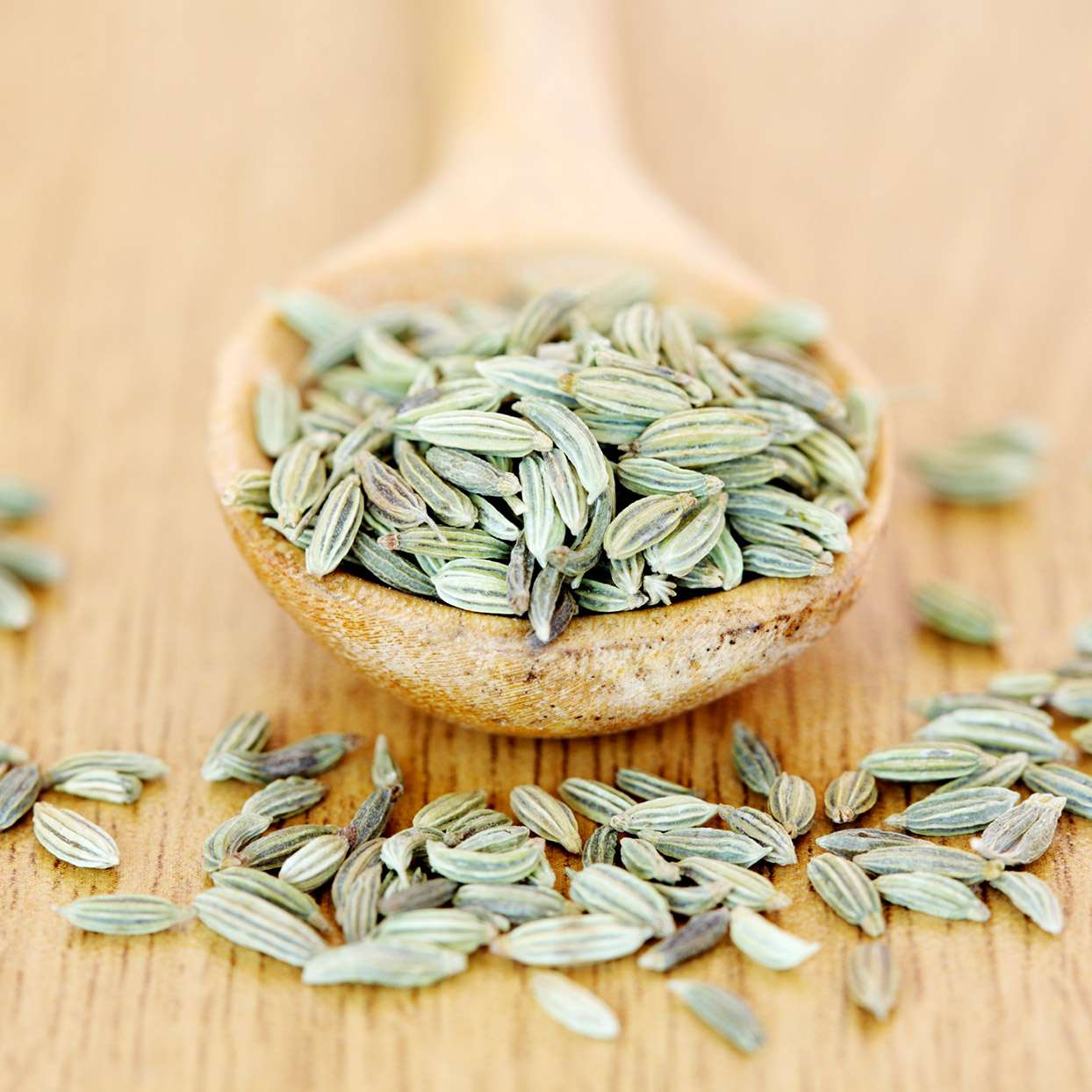 TLS Fennel Seed 1oz