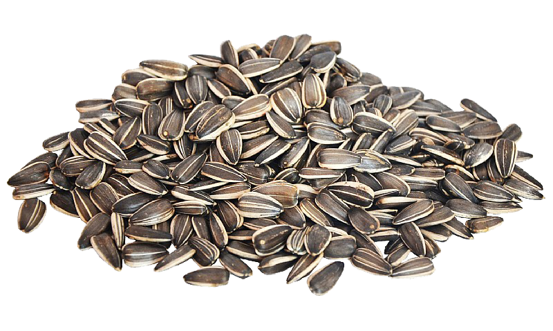 Sunflower seeds