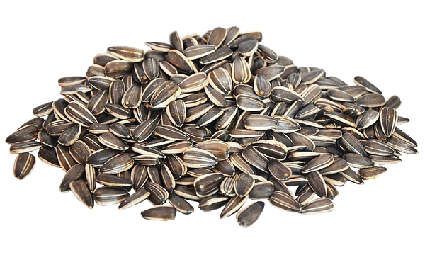 Sunflower seeds